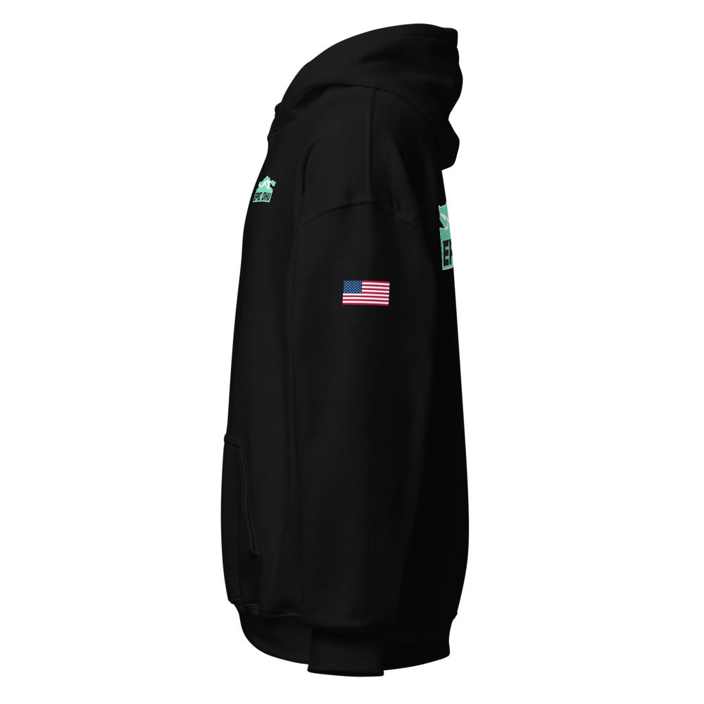 EPIC OHV OG hoodie black sleeve left view